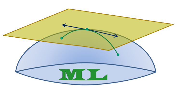 PosDefManifoldML logo